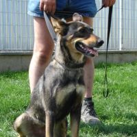Ambra -(Ambruš)