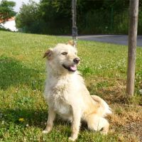 Fína
