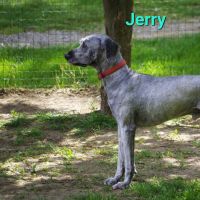 Jerry