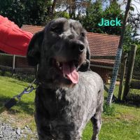 Jack