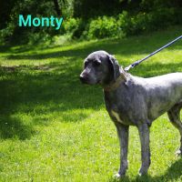 Monty