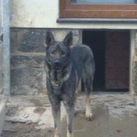 Brais