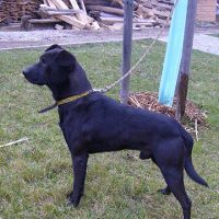 Ralf