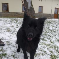 Tobiáš